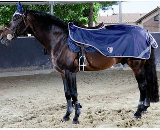 Produktbild von Wasserdichte Nierenabdeckung aus Doppelfleece für Pferde Tattini