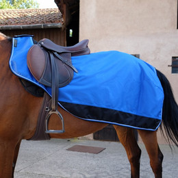 Produktbild von Wasserdichte Nierendecke für Pferde Equithème TYREX 1200 D