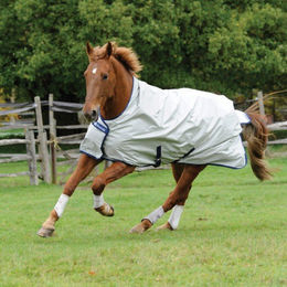 Produktbild von Wasserdichte Outdoor-Decke für Pferde Bucas Power Turnout Light H/N 300g