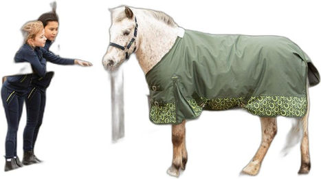 Produktbild von Wasserdichte Outdoor-Decke für Pferde Harry's Horse STOUT! 200g