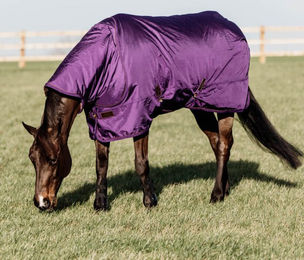 Produktbild von Wasserdichte Outdoor-Decke für Pferde Kentucky Horsewear Pro 160g