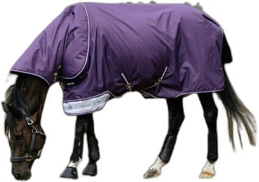Produktbild von Wasserdichte Outdoor-Decke für Pferde LeMieux Arika 0g