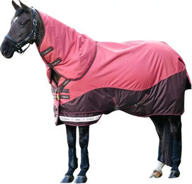 Produktbild von Wasserdichte Outdoor-Decke für Pferde LeMieux Arika 100g