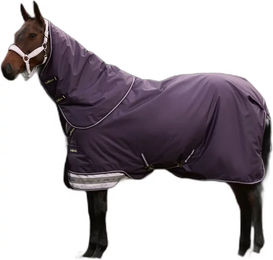 Produktbild von Wasserdichte Outdoor-Decke für Pferde LeMieux Arika 200g