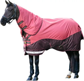 Produktbild von Wasserdichte Outdoor-Decke für Pferde LeMieux Arika 200g