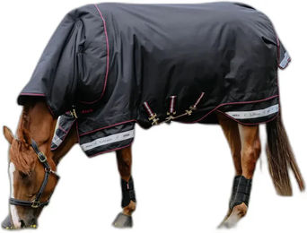 Produktbild von Wasserdichte Outdoor-Decke für Pferde LeMieux Arika Storm-Tek 200g