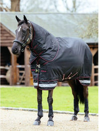 Produktbild von Wasserdichte Outdoor-Decke für Pferde LeMieux Arika Storm-Tek 350g
