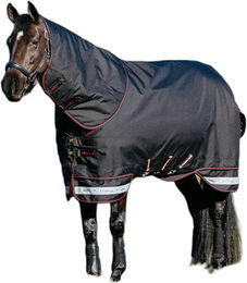 Produktbild von Wasserdichte Outdoor-Decke für Pferde LeMieux Arika Storm-Tek 50g