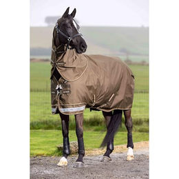 Wasserdichte Outdoor-Decke für Pferde mit Halsabdeckung LeMieux Arika Ripstop 100g – Bild 1 von 4