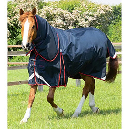 Produktbild von Wasserdichte Outdoor-Decke mit Halsteil Premier Equine Buster
