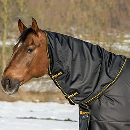 Produktbild von Wasserdichte Pferdehalsdecke Bucas Irish