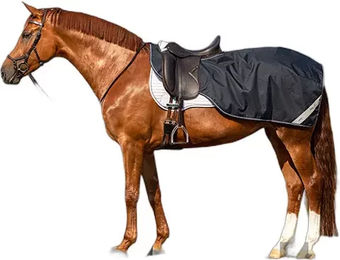 Produktbild von Wasserdichter Fleece-Decke für Pferd Amigo