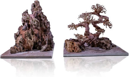 Produktbild von Wasserlandschaft Aquavie Aquanatur Bonsaï