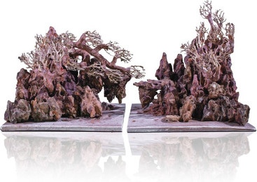 Produktbild von Wasserlandschaft Aquavie Aquanatur Canyon Forest