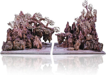 Produktbild von Wasserlandschaft Wald Aquavie Aquanatur Canyon