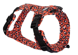 Produktbild von Wau-Move Hundegeschirr Leo Orange M