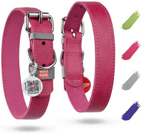 Produktbild von WAUDOG Hunde-Halsband Lederhalsband verstellbar für große und mittelgroße Hunde