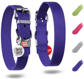Produktbild von WAUDOG Hunde-Halsband Lederhalsband verstellbar für große und mittelgroße Hunde