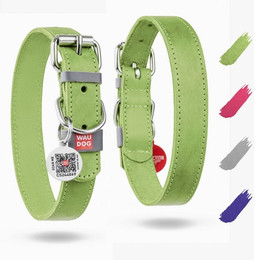 Produktbild von WAUDOG Hunde-Halsband Lederhalsband verstellbar für große und mittelgroße Hunde