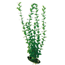 Produktbild von Wave A8011247 Plant Classic Rotala Kunststoffpflanze 18 cm