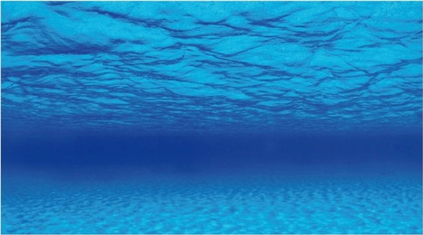 Produktbild von Wave AMTRA Mystic Hintergrund im Aquarium Poster