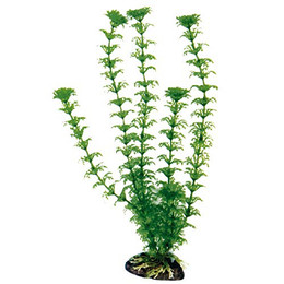 Produktbild von Wave Plant Classic Cabomba Kunststoff-Replica 36 cm