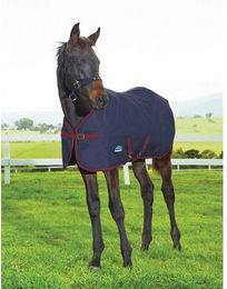 Produktbild von Weatherbeeta 1200D Foal Standard Neck 220g