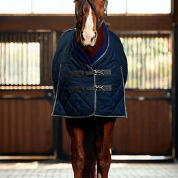 Produktbild von Weatherbeeta Comfitec 1000D Diamond Quilt Stable Detach-A-Neck 220G