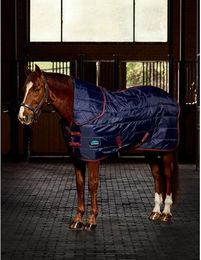 Weatherbeeta Comfitec 210D Channel Quilt Stable Combo Neck 100g – Bild 1 von 5