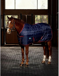 Weatherbeeta Comfitec 210D Channel Quilt Stable Standard Neck 100g – Bild 1 von 5