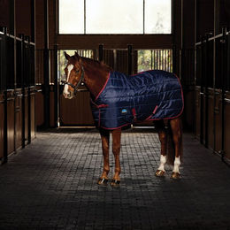 Produktbild von Weatherbeeta Comfitec 210D Channel Quilt Stable Standard Neck 220G