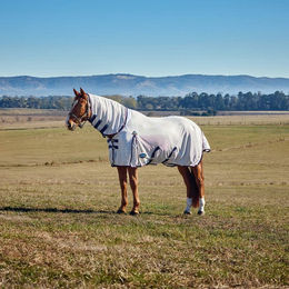 Produktbild von Weatherbeeta Comfitec Airflow Fly Sheet Combo