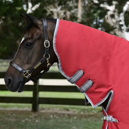 Produktbild von Weatherbeeta Comfitec Classic Combo Neck Lite Plus