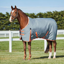 Produktbild von Weatherbeeta Comfitec Classic Standard Medium Weidedecke - 220 g