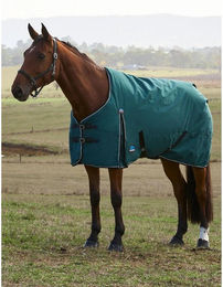 Produktbild von Weatherbeeta Comfitec Classic Turnout 220g