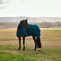 Produktbild von Weatherbeeta Comfitec Classic Turnout 50g