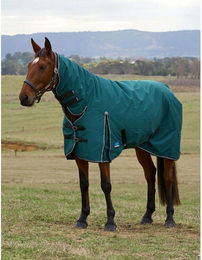 Produktbild von Weatherbeeta Comfitec Classic Turnout Combo 220g