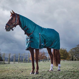 Weatherbeeta Comfitec Classic Turnout Combo 220g – Bild 1 von 7