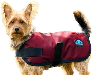 Produktbild von Weatherbeeta Comfitec Classic Waterproof Dog Coat