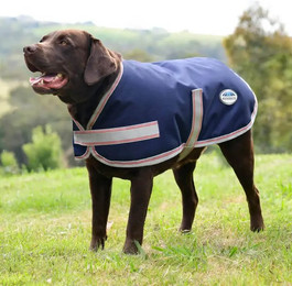 Produktbild von Weatherbeeta Comfitec Essential Hundemantel