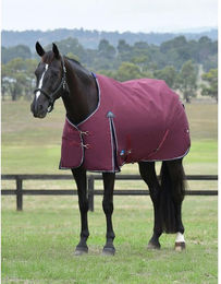 Produktbild von Weatherbeeta Comfitec Essential Turnout 0g