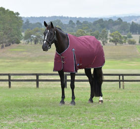 Produktbild von Weatherbeeta Comfitec Essential Turnout 220g