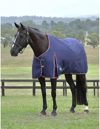 Produktbild von Weatherbeeta Comfitec Essential Turnout 220g