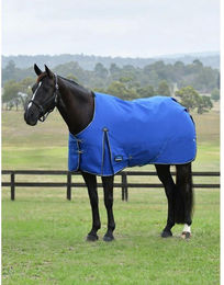 Produktbild von Weatherbeeta Comfitec Essential Turnout 220g