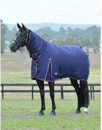 Produktbild von Weatherbeeta Comfitec Essential Turnout Combo 220g