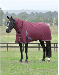 Produktbild von Weatherbeeta Comfitec Essential Turnout Combo 220g