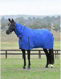 Produktbild von Weatherbeeta Comfitec Essential Turnout Combo 220g