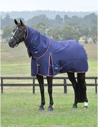 Produktbild von Weatherbeeta Comfitec Essential Turnout Detach-A-Neck 220g