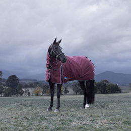 Produktbild von Weatherbeeta Comfitec Essential Turnout Detach-A-Neck 220g