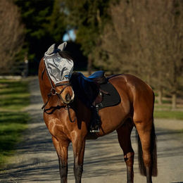 Produktbild von Weatherbeeta Comfitec Hexi Shield Ride On Fly Mask